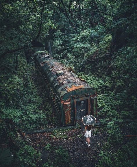 Inference Pictures, Abandoned Train, Abandoned Buildings, Abandoned Houses, A Train, Fantasy Landscape, Abandoned Places, In The Middle, Mother Nature