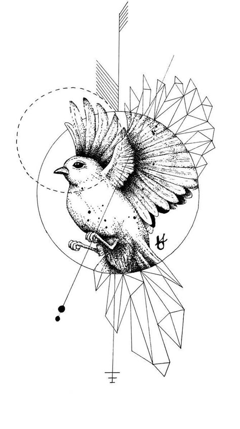 Lotusblume Tattoo, Geometric Animal Tattoo, Parrot Tattoo, Geometric Owl, Tier Tattoo, Sparrow Tattoo, Geometric Bird, Geometric Drawing, Bird Tattoo