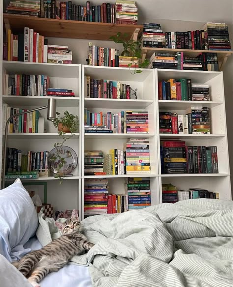 Aesthetic Book Shelf Organization, Organized Bookshelves Aesthetic, Reader Room Ideas, Bookshelf In Room Aesthetic, Bedroom Library Ideas Reading Corners, How To Organize Bookshelf, Bookish Home Decor, Corner Bookshelf Aesthetic, Bedroom Library Aesthetic