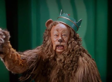 Cowardly Lion Aesthetic, Lion Aesthetic, Wizard Oz, Lion Icon, Wizard Of Oz 1939, Cowardly Lion, The Wizard Of Oz, The Wizard, Over The Rainbow