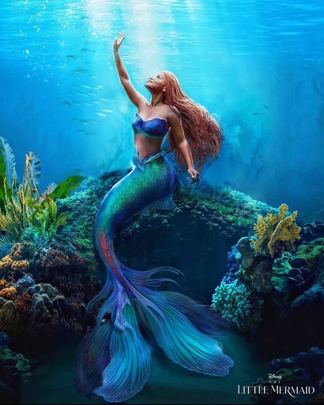 Ariel Wallpaper, Little Mermaid Wallpaper, Little Mermaid Live Action, Mermaid Man, Mermaid Artwork, Mermaid Wallpapers, Mermaid Under The Sea, Mermaid Pictures, Mermaid Aesthetic