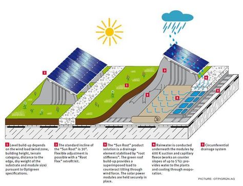 Green Roof Technology has developed advanced systems that allow easy and efficient installation of both systems without... Advantages Of Solar Energy, Living Roofs, Solar Roof, Best Solar Panels, Photovoltaic Panels, Energy Resources, Solar Technology, Solar Energy System, Solar Wind