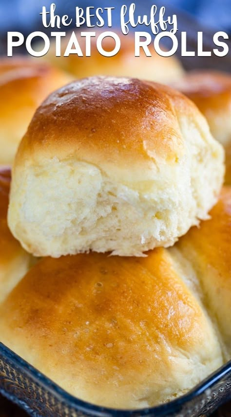 Potato Dinner Rolls Recipe, Potato Dinner Rolls, Dinner Rolls Recipe Homemade, Potato Rolls Recipe, Easy Yeast Rolls, Dinner Roll Recipe, Yeast Rolls Recipe, Sweet Dinner Rolls, Simple Bread