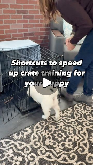 Kim Paciotti Puppy Training Specialist CPDT-KA on Instagram: "Here’s how you can speed up the process and help your puppy feel at home in their crate—without all the crying.

🌟 Step 1: Start crate training immediately by making the crate a positive space. Use treats, toys, and the puppy’s favorite bedding inside the crate. Feed meals in the crate.  This builds a positive connection faster than simply using the crate for confinement.

🌟 Step 2: For puppies that hate the crate, start with very short periods—just a few minutes—of confinement with the door closed. Slowly increase the time. Reward them with praise or treats when they enter the crate and when they are quiet inside. Keep initial crate sessions short to avoid overwhelming them. In the beginning, use the best possible treats that Crate Set Up For Puppy, How To Crate Train A Puppy, Puppy Pen Ideas Indoor, Puppy Crate Setup, Puppy Crate Ideas, Training Specialist, Puppy Kennel, Crate Training Puppy, Puppy Crate