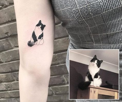 https://www.thepaws.net/cat-outline-tattoos/4/ Trendy Cat Tattoo, Tattoos To Get For Your Cat, Real Cat Tattoo, Cute Cats Tattoo, Sentimental Cat Tattoos, Tattoo For Cat Lovers, Cat Toy Tattoo, Black And Grey Cat Tattoo, Cat Stripes Tattoo