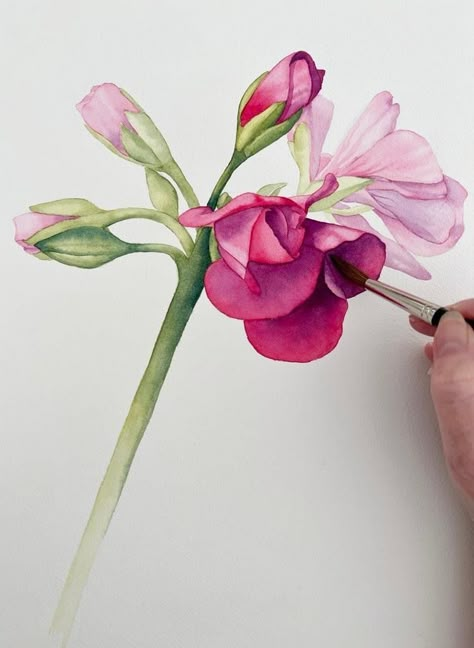 Wet On Wet Technique, Watercolor Flowers Tutorial, Art Tutorials Watercolor, Drawing Flowers, Water Colours, Watercolor Flower Art, Watercolor Painting Techniques, Watercolor Flowers Paintings, Watercolor Paintings Tutorials