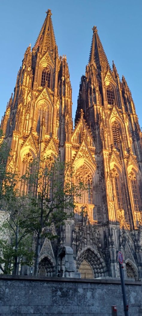 Cologne Germany Cathedral, Cologne Cathedral Interior, Cathedrals In Europe, Cologne Cathedral Wallpaper, Cologne Cathedral Aesthetic, German Cathedrals, Koln Cathedral, Germany Cathedral, Famous Cathedrals