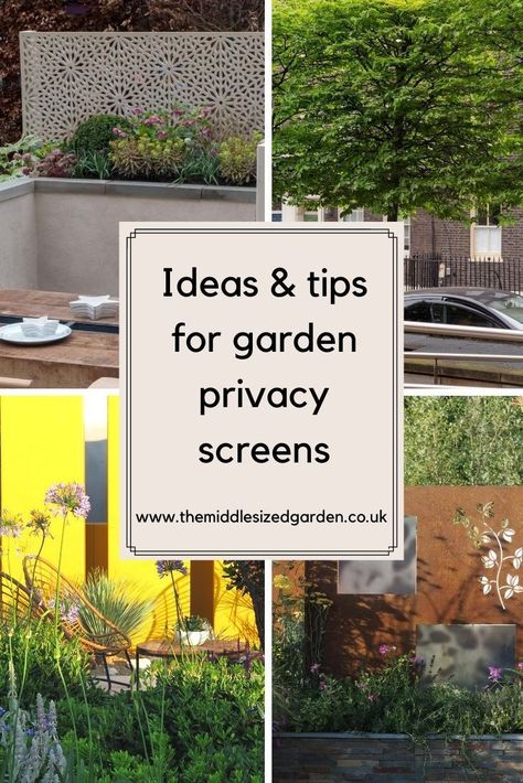 Would you like more privacy from your neighbours? You don't need tall evergreen trees to create a secret garden space, just one of these  garden privacy screen ideas to keep your patio private. #gardening #garden #middlesizedgarden #backyard Screen Garden Ideas, Neighbour Screening Ideas, Garden Privacy Screens Ideas, Private Garden Ideas, New Build Garden Ideas Privacy, Garden Privacy Ideas Uk, Overlooked Garden Privacy Ideas, Creating Privacy In Backyard With Plants, Screen Neighbours Backyard Privacy