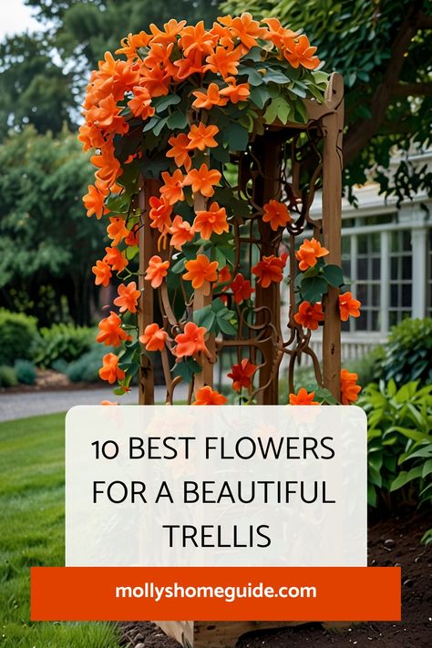 Discover a variety of beautiful flowering vines that are perfect for trellises and pergolas. Explore the best flowers for trellis, including fast-growing options to enhance your outdoor space. Get inspired with unique trellis ideas and designs to create a stunning vertical garden display. Transform your garden with climbing flowers and vines for trellis, adding color and charm to your landscape. Wall Trellis Ideas Climbing Flowers, Plants That Climb, Trellis With Flowers, Trellis Flowers Ideas, Best Climbing Flowers For Trellis, Vines For Trellis, Rose Trellis Ideas, Climbing Flowers Trellis, Unique Trellis