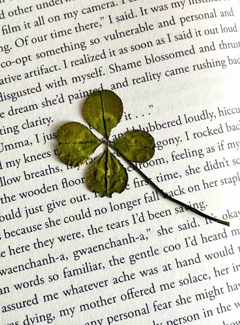 Vision Board Asthetics, Lucky Charms Wallpaper, Manifesting Pictures, Green Asthetics Photos, Four Leaf Clover Aesthetic, Good Luck Aesthetic, Luck Aesthetic, Green Vision Board, Lucky Aesthetic