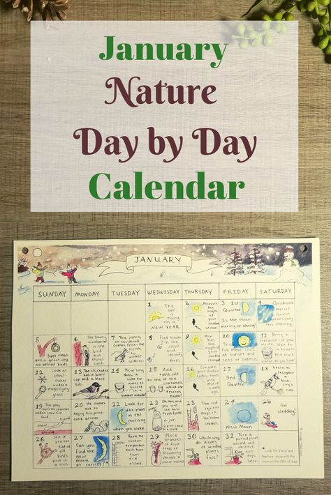 January Nature Day by Day Calendar January Nature, Homeschool Curriculum Planning, Nature Day, Calendar Cute, Nature Calendar, Reading Log Printable, Calendar January, Day Calendar, January Calendar