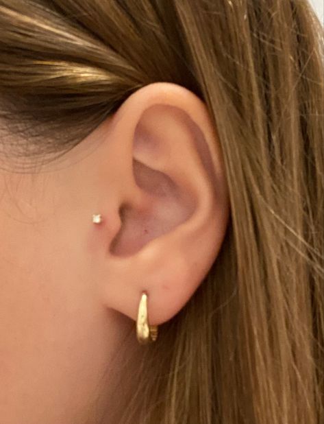 Tragus Piercing Jewelry Minimalist, Tragus Piercing Minimalist, Tiny Tragus Piercing, Dainty Tragus Piercing, Ear Piercing Ideas Tragus, Cute Tragus Piercing, Tragus Piercing Aesthetic, Dainty Ear Piercings, Double Tragus Piercing