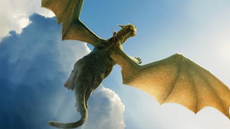 Pete Dragon, Disney Live Action Movies, Dragon Wallpaper, Magic Dragon, Pixar Films, Disney Animated Movies, Creation Station, Disney Live, Widescreen Wallpaper