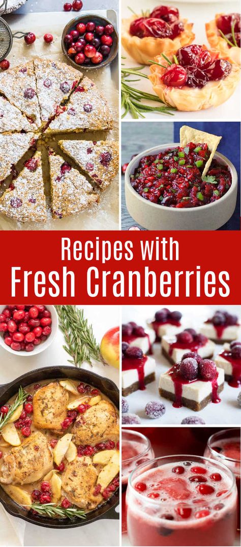 Cranberry Recipes Healthy, Appetizer Desserts, Fresh Cranberry Salad, Cranberry Recipes Thanksgiving, Fresh Cranberry Recipes, Recipes For The Holidays, Cranberry Thanksgiving, Christmas Cranberry, Cranberry Dessert