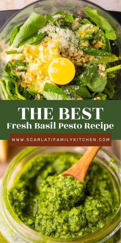 Homemade Fresh Basil Pesto or Pesto all Genovese can be made in 5 minutes with only 7 ingredients. It's great for pizza, pasta and so much more! Fresh Basil Pesto Recipe, Fresh Basil Recipes, Fresh Basil Pesto, Homemade Basil Pesto, Basil Pesto Recipe, Basil Pesto Pasta, Basil Pesto Recipes, Basil Recipes, Italian Recipe