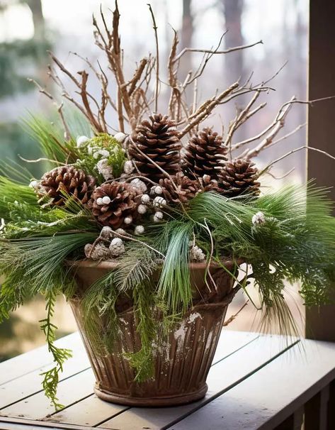 Christmas Greenery Planters, Fall And Winter Planter Ideas, Christmas Greenery Pots Front Porches, Front Door Pots Plants Entrance Winter, Christmas Outdoor Pot Ideas, Christmas Front Porch Pots, Outdoor Winter Arrangements, Christmas Plants Indoor, Diy Christmas Porch Pots