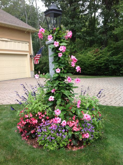 Flower Bed Around Lamp Post, Light Pole Flower Bed, Yard Lamp Post Landscaping, Outside Lamp Post Ideas, Lampost Landscaping, Front Yard Lantern Post, Landscaping Around A Lamp Post, Front Light Post Landscaping, Landscaping Around A Light Post