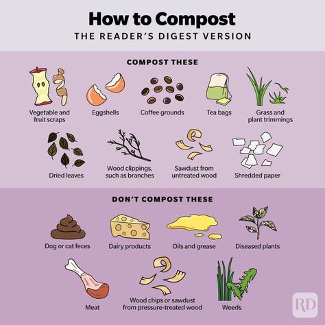 Make Compost, How To Compost, Compost Container, How To Make Compost, Bermuda Grass, Composting At Home, Pressure Treated Wood, Gardening Plants, Yard Waste