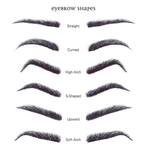 Eyebrow Shapes Chart, Eyebrows For Oval Face, Brow Shaping Tutorial, Different Eyebrow Shapes, Types Of Eyebrows, Bentuk Alis, Eyebrow Shapes, Eyebrow Hacks, Makeup Brushes Guide