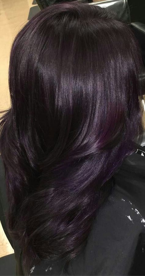 Purple Hair Highlights On Brown Hair, Dark Purple Highlights In Black Hair, Purple Highlights Black Hair Curly Hair, Black Hair With Dark Purple Highlights, Plum Black Hair Color, Plum Highlights On Dark Hair, Black Plum Hair Color, Black Hair With Purple Tint, Plum Curly Hair