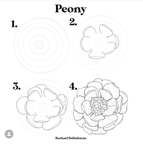 Peony Drawing Simple, How To Draw A Peony, Flower Petals Drawing, Floral Outlines, Peony Illustration, Peony Drawing, Flowers Step By Step, Peony Petals, Person Art