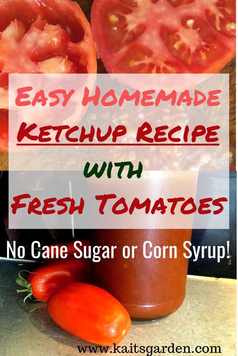 Sugar Free Ketchup Recipe, Tomato Sauce From Fresh Tomatoes, Ketchup Recipes, Recipe With Fresh Tomatoes, Sauce From Fresh Tomatoes, Tomato Ketchup Recipe, Store Tomatoes, How To Make Tomato Sauce, Make Tomato Sauce