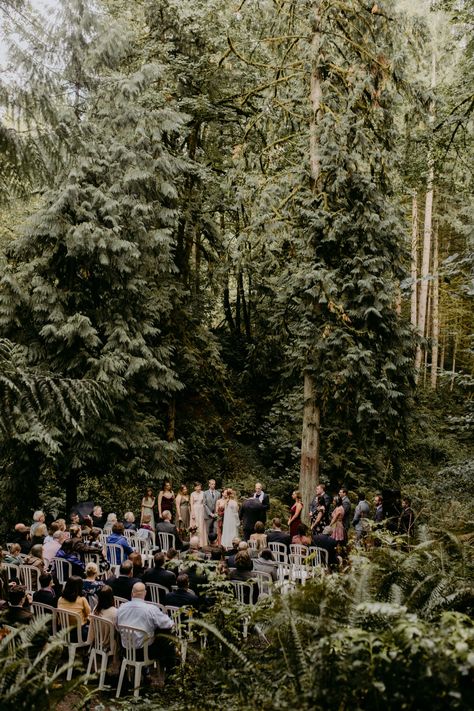 Oregon Forest Wedding, Oregon Woods Wedding, Pine Tree Wedding, Wedding Pine Trees, Pnw Wedding, Hornings Hideout Wedding, Washington Forest Wedding Venues, Pine Forest Wedding Ceremony, Wedding Ceremony Pine Trees