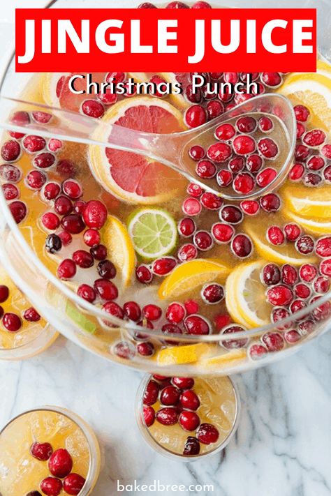 Jingle Juice Punch is an adult beverage to serve up family this holiday season. Give this party punch recipe a try this Christmas. A variety of alcohol, juices, cranberry and more. #drink #alcohol #punch #party #liquor #boozy #recipe Christmas Punch With Vodka, Punch With Vodka, Alcoholic Christmas Punch, Easy Christmas Punch, Non Alcoholic Christmas Punch, Smoothie Machine, Eggnog Fudge, Holiday Punch Recipe, Christmas Drinks Alcohol Recipes