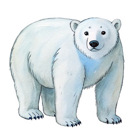 Cute Polar Bear Bear Cartoon Images, Polar Bear Clipart, Polar Bear Drawing, Polar Bear Images, Polar Bear Cartoon, Polar Bear Illustration, Clip Art Animals, Birds Clipart, St Luke