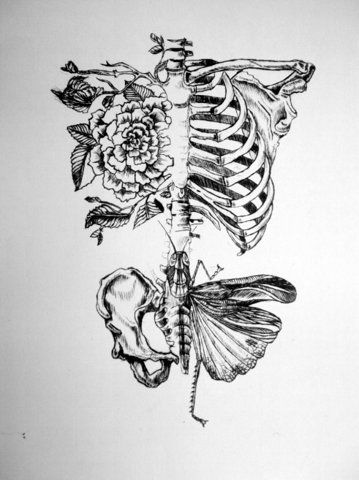 Kunst Tattoos, Arrow Tattoos, Celtic Tattoos, Skeleton Art, Medical Art, Feather Tattoos, Tattoo Love, Nature Tattoos, Tree Tattoo