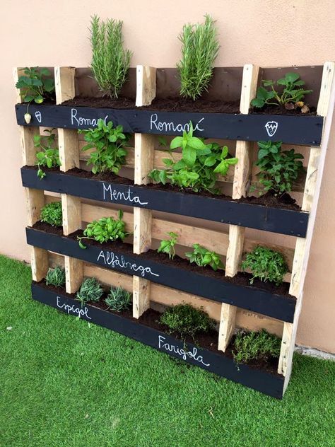 horta vertical Gardening Style, Gardening Vertical, Herb Garden Wall, Palette Garden, Vertical Pallet Garden, Plant Walls, Deck Inspiration, Small Vegetable Gardens, نباتات منزلية