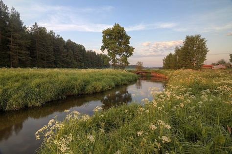 Horizontal Landscape Aesthetic, Green Aesthetic Landscape, Nature Aesthetic Landscape, Aesthetic Background Landscape, Nature Horizontal, Earth Landscape, Wild Landscape, Landscape Aesthetic, Grass Landscape