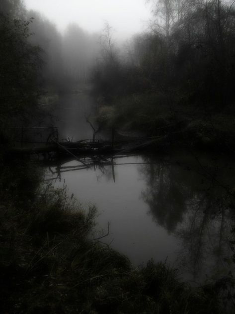 Roast People, Dark Naturalism, Dark Forest Aesthetic, Dark Landscape, Dark Green Aesthetic, Foggy Forest, Dark Nature Aesthetic, Dark Paradise, The Fog