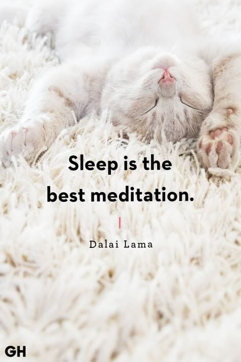 Love Sleep Quotes, Vision Mapping, Sleep Better Quotes, Sleep Motivation, Read Before Bed, Sleep Quotes Funny, 21 Days Challenge, Cute Good Night Quotes, I Dont Feel Anything