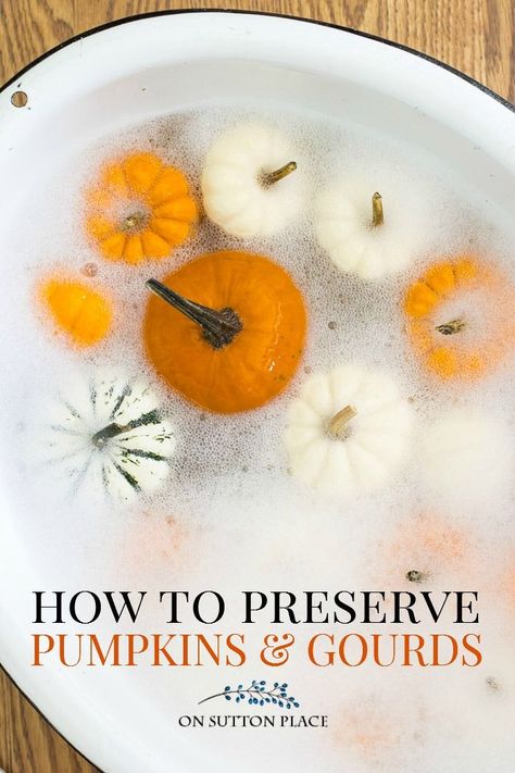 How To Preserve Pumpkins, Preserve Pumpkins, Preserving Pumpkins, Porche Halloween, Pumpkins And Gourds, How To Make Pumpkin, Fall Deco, Autumn Decorating, Fall Decoration