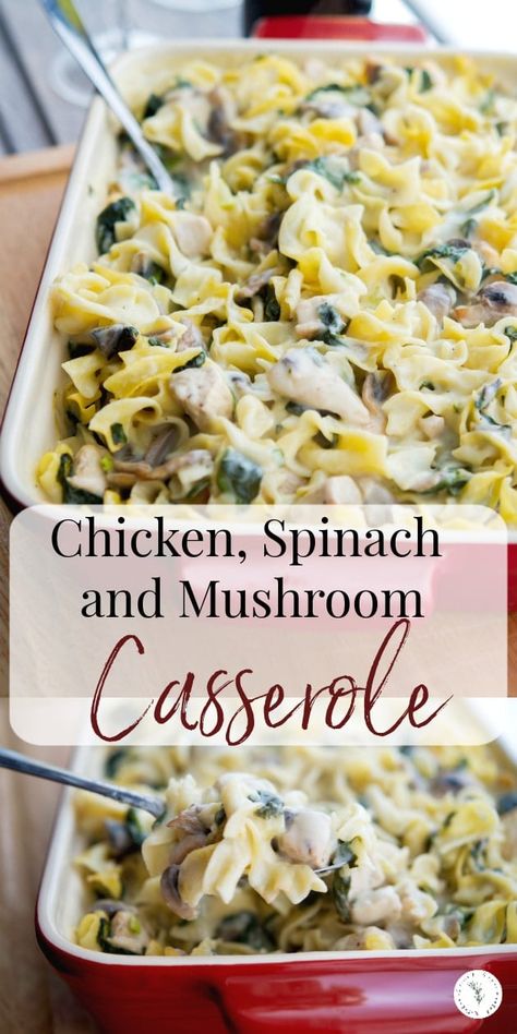 Chicken, Spinach & Mushroom Casserole makes for the perfect weeknight meal. Prepare ahead of time and reheat for those busy weeknights too. #pasta #chicken #casserole Creamy Chicken Spinach, Chicken Spinach Mushroom, Chicken And Spinach Casserole, Spinach Casserole Recipes, Chicken Mushroom Casserole, Spinach Mushroom Pasta, New Chicken Recipes, Spinach And Mushroom, Spinach Casserole