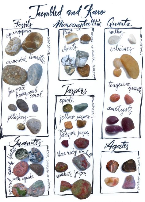 I am new to collecting rocks, so I created a chart of Before and After Tumbling to understand what I am looking for next time I am at the beach.  Before and after tumbling Tumbled Raw Tumbled and Row Great Lakes Michigan Lake Polished rocks Fossils Microcrystalline  Quartz Granite Jasper Agate syringoproa Crinoidal limeston Favorite honeycomb coral Petoskey stone Biotite Granate Apache pink granite Revised with episode Flint Chert Mineral Gemstone Epitome Yellow jasper Red feldspar jasper Blue Agate Identification Chart, Michigan Rock Identification, Lake Michigan Rocks Identification, Lake Michigan Rocks, Lake Superior Rocks Identification, Raw Agate Rocks, Rock Tumbling Before And After, Michigan Rocks And Minerals, Tumbled Rock Projects