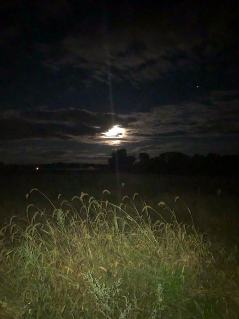 Outdoor Dark Aesthetic, Dark Woodsy Aesthetic, Nature Night Aesthetic, Cool Nature Pictures, Forests At Night, Moon In Forest, Grass At Night, Farm At Night, Russia Forest