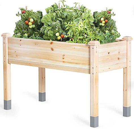 MIXC Wooden Raised Garden Bed with Legs, 48”L X 24”W, Elevated Reinforced Large Planter Box for Vegetable Flower Herb Outdoors - Beam and Column Structure - Unmatched Strength Outlast Good Amazon Finds, Bed With Legs, Large Planter Boxes, Wood Raised Garden Bed, Wooden Garden Bed, Elevated Garden, Wooden Raised Garden Bed, Elevated Planter Box, Raised Bed Gardening