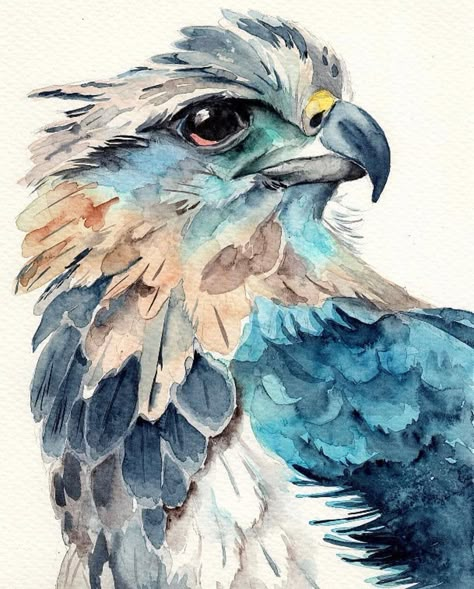 Watercolour Painting Inspiration, Watercolor Cute Animals, Birds Watercolor Paintings, Bird Art Painting, Bird Watercolor Art, Watercolour Birds, Drawing Birds, Watercolor Paintings Of Animals, Watercolor Blog