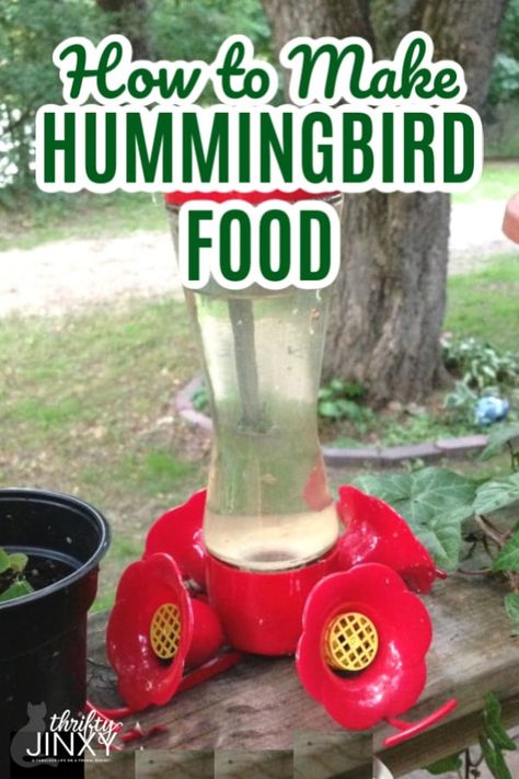 It's easy to make your own homemade hummingbird food in only a few minutes. It's less expensive than pre-made food and the birds love it!rn#Hummingbirds #HummingbirdFood #Birds #WildBirds #BirdFeeder Diy Hummingbird Food, Hummingbird Food Recipe, Make Hummingbird Food, Homemade Hummingbird Feeder, Homemade Hummingbird Food, Hummingbird Nectar Recipe, Hummingbird Food, Hummingbird Nectar, Attract Hummingbirds