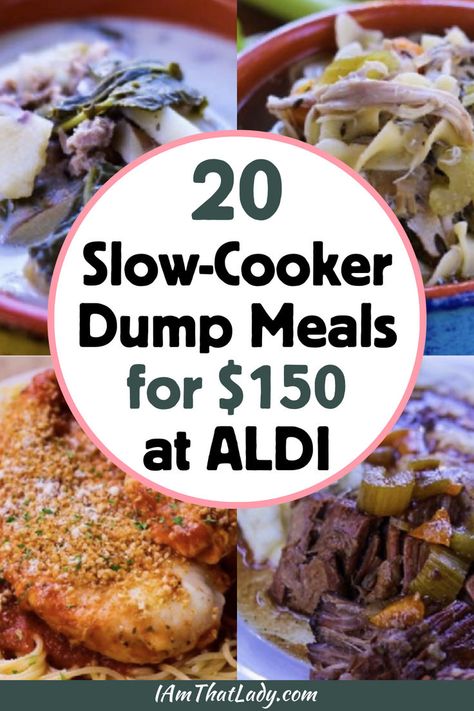 Slow Cooker Recipes Cheap, Slow Cooker Dump Meals, Slow Cooker Dump, Cheap Healthy Dinners, Crockpot Dump Recipes, Crockpot Recipes Cheap, Dump Recipes, Aldi Meal Plan, Aldi Recipes