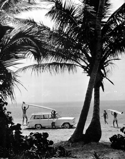 People On The Beach, Dengeki Daisy, Indian Rocks Beach, Black And White Beach, Surf Vibes, Retro Surf, Samurai Tattoo, Surfing Photography, Vintage Surf