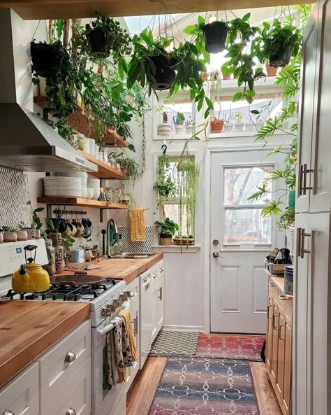 This compact cooking corner doubles as a greenhouse with the right resourcefulness. Image credit: INSTAGRAM @STOCHASTICVERSE Plants On Refrigerator, Kitchen Ideas Plants, Greenhouse Kitchen Ideas, Plants Fairy Lights, Kitchen Greenhouse, Greenhouse Kitchen, Cottage Core Home, Decorating With Plants, The Hacienda