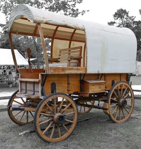 Old Covered Wagon by Philip Molyneux