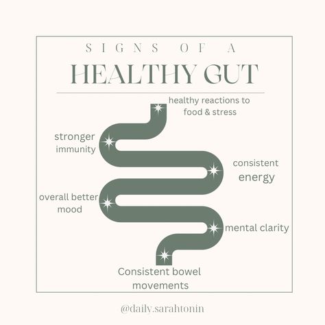 Gut health is the foundation of whole body health. Here's a few different signs you have a healthy gut. Food Sensitivity Test, Hollistic Health, Food Sensitivity, Gym Nutrition, Gut Health Diet, Tea Health, Gut Healing Recipes, Improve Nutrition, Happy Gut