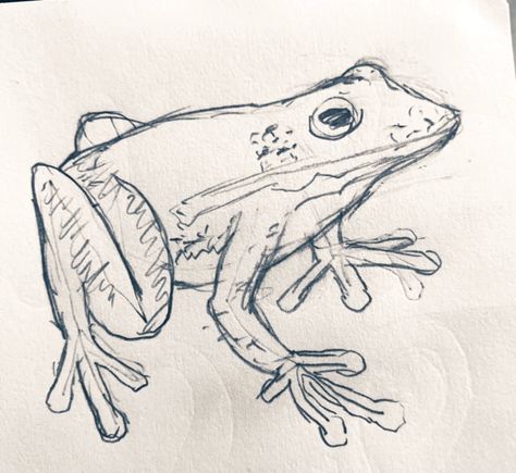 Frog In Car Drawing, Toad Sketch Drawings, Tree Frog Drawing, Toad Drawing, Frog Sketch, Frog Drawing, Wings Drawing, Object Drawing, Line Art Tattoos