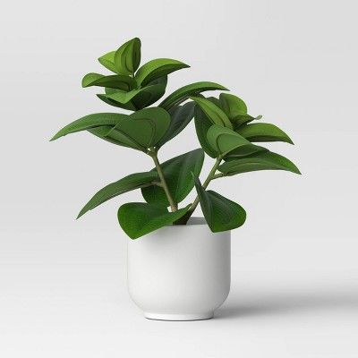 Order confirmation : Target Green Fake Plants, Plant Decor For Bedroom, Room Decor Plants Bedrooms, Amazon Plant Must Haves, Cool Girl Bedroom, Modern House Plants, Plants For Room, Dorm Room Bathroom, Bahamas House