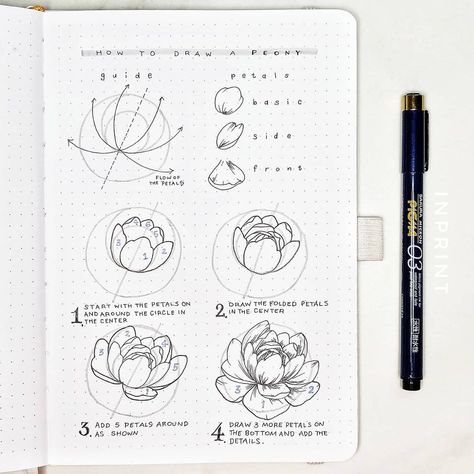 Aska | Bullet Journal on Instagram: “Finally uploaded the peony tutorial video on my YT, I hope you guys will like it🙂 Link on my stories! . #howtodraw #peonies #stepbystep . .…” Peony Drawing Tutorial, Peony Tutorial, Peony Drawing, How To Draw Flowers, Botanical Line Drawing, Flower Drawing Tutorials, Art Advice, Draw Flowers, Hope You