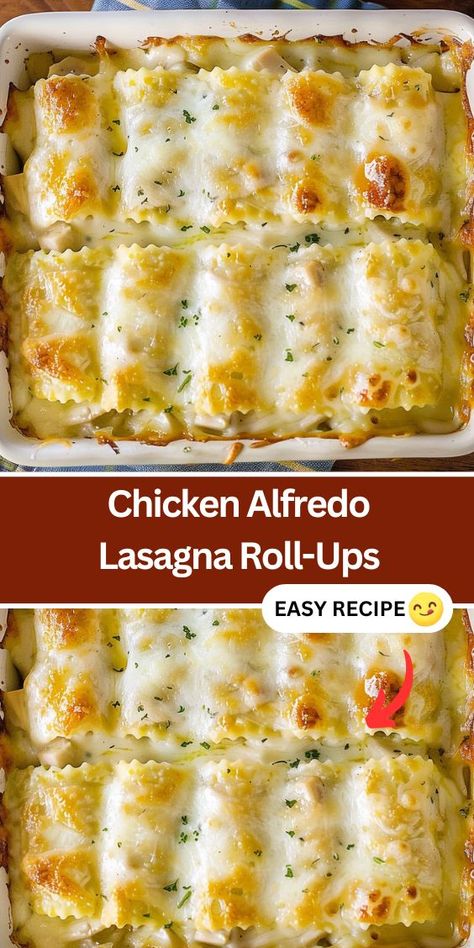 Alfredo Chicken Lasagna Rolls, Lasagna Recipe Alfredo, Chicken Alfredo Lasagna Rolls Recipes, Alfredo Roll Ups Chicken, Chicken Alfredo Rollups Lasagna Rolls, Creamy Chicken Alfredo Lasagna, Make Ahead Chicken Alfredo Casserole, Chicken Alfredo Lasagna Roll Ups Recipe, Chicken Alfredo Roll Ups Lasagna